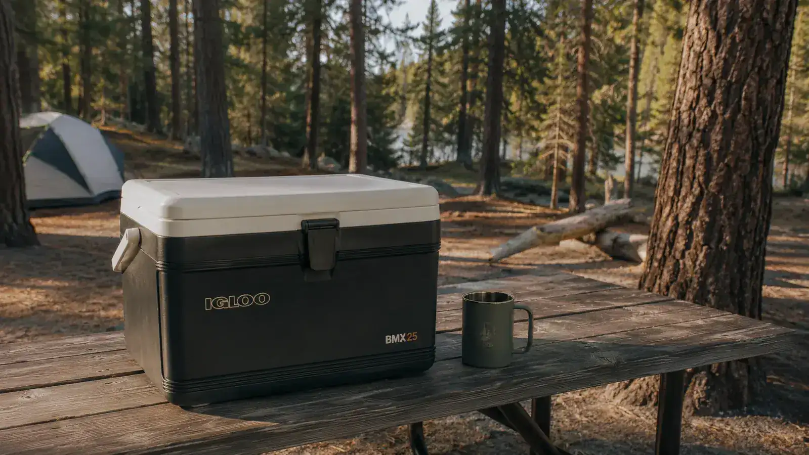 Igloo BMX cooler sitting in the shade of pine trees at a remote backcountry campsite