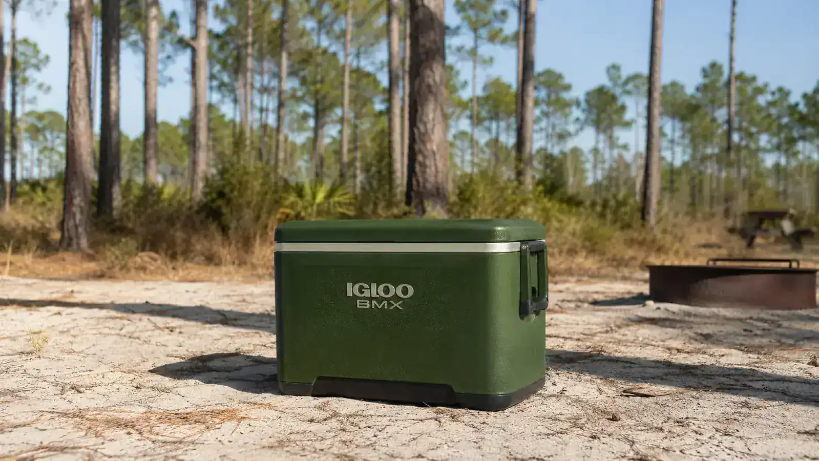 Igloo BMX cooler sitting in direct afternoon sun at a sandy campsite with a pine forest backdrop