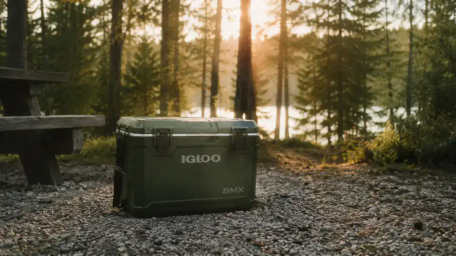 Igloo BMX cooler sitting at a campsite with pine trees in the background, morning light